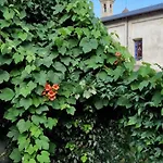 Il Portico Valdieri