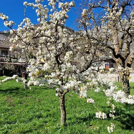 Appartement Il Portico *