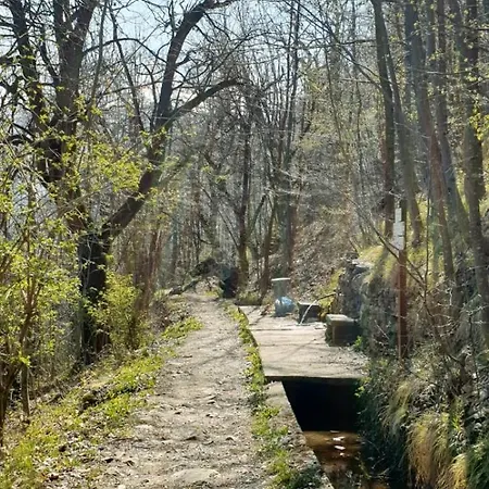 Apartment Il Portico