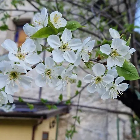 Il Portico Appartement Valdieri