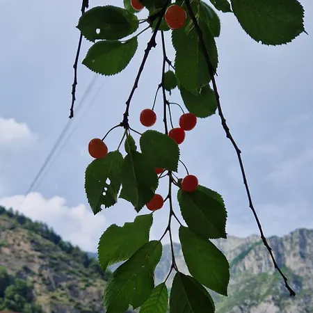 Il Portico * Valdieri