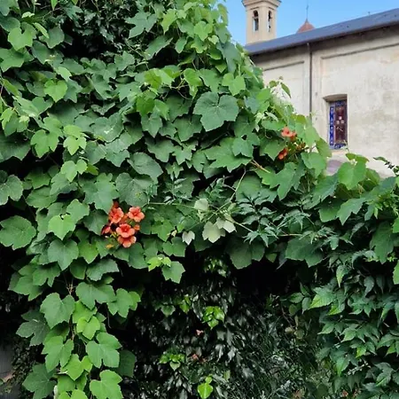 Il Portico Valdieri